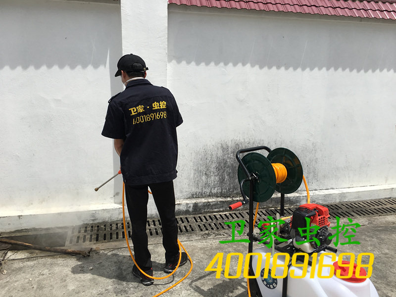 顺德区陈村除四害公司，室内蟑螂为什么难以消灭干净？
