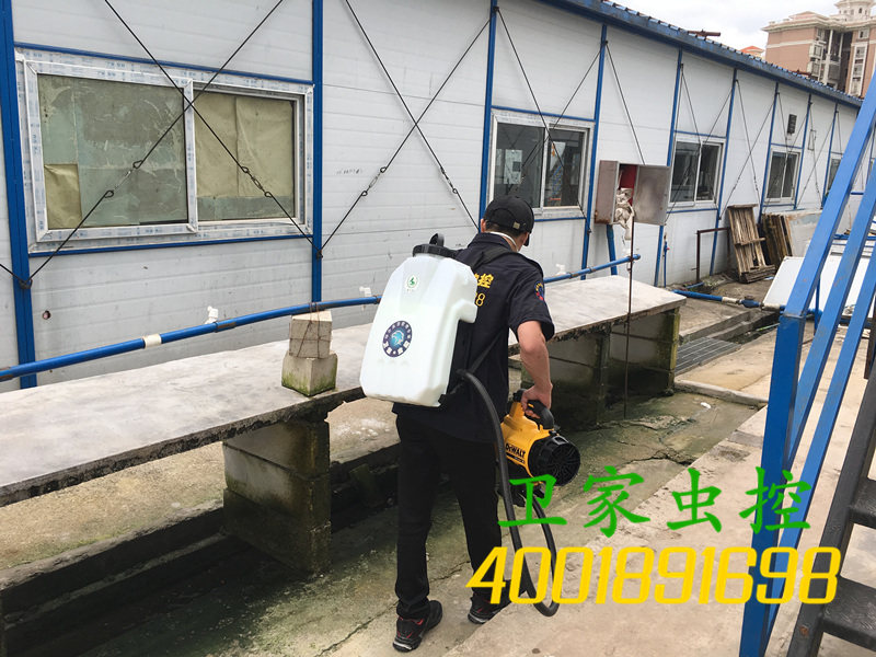 顺德区乐从除四害公司，四害是指哪4种？及其各自的危害